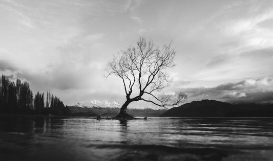 How To Beat Winter Scalp Dryness In NZ